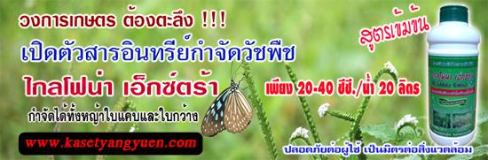 เกษตรยั่งยืน,kasetyangyuen