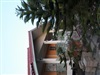 สวนฮว่านง็อกรามอินทรา66(hoan ngoc garden Ramintra66 ),Hoan ngoc Garden Ramintra 66 