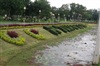 คณะบุคคลนานาพันธุ์ไม้