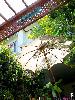 ร้านสวนบ้านโจ้