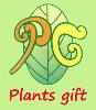 Plants gift