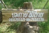 สวน ธนัชชา