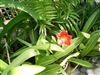 คลิกเพื่อดูสินค้า
