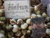 คลิกเพื่อดูสินค้า