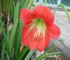 คลิกเพื่อดูสินค้า