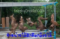 คลิกเพื่อดูสินค้า