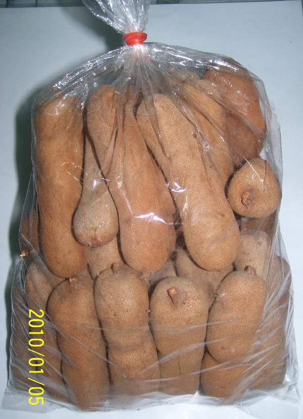 มะขามหวาน,มะขามหวาน ขาย และ ส่งถึงที่ สดจากสวน เทียวชมสวนและชิม ฟรี,มะขาม