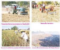 อ่านรายละเอียด