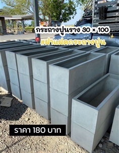 กระถางปูนเปลือย ราง 30x100