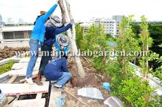 โรงพยาบาลชลประทาน จังหวัดนนทบุรี