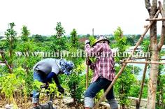 โรงพยาบาลชลประทาน จังหวัดนนทบุรี