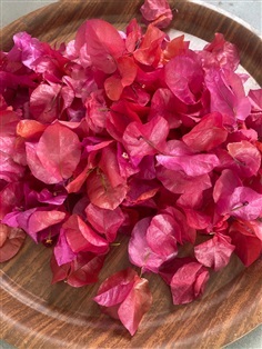 ดอกเฟื่องฟ้าอบแห้ง Paper flower, Bougainvillea