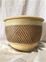 Color Clay Pot (กระถางดินเผาสีคละลาย)