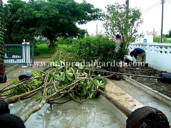 หมู่บ้านมหาชัยเมืองทอง จังหวัดสมุทรสาคร