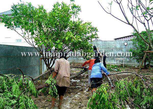 บ้านในโครงการหมู่บ้านชวนชื่น ฟลอร่าวิลล์