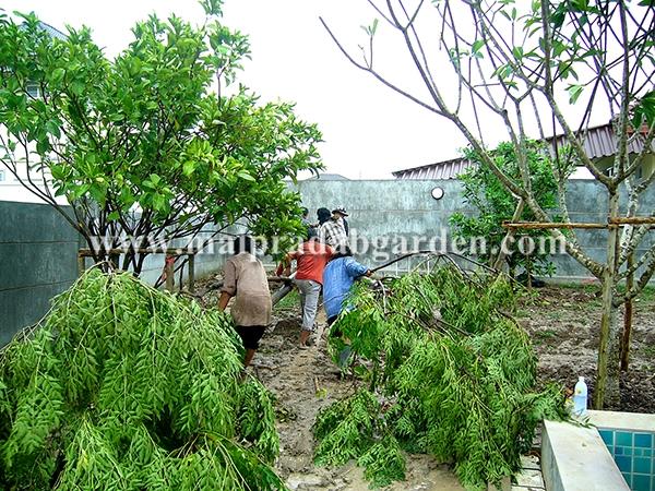 บ้านในโครงการหมู่บ้านชวนชื่น ฟลอร่าวิลล์