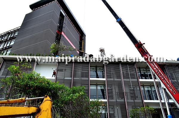 โรงพยาบาลชลประทาน จังหวัดนนทบุรี