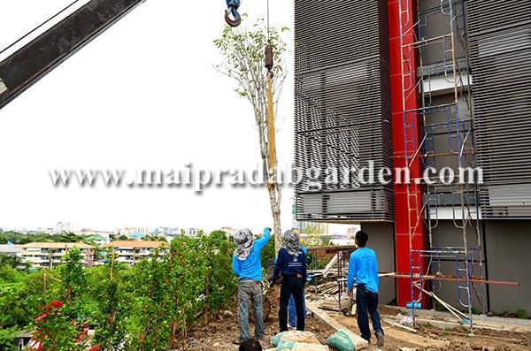 โรงพยาบาลชลประทาน จังหวัดนนทบุรี