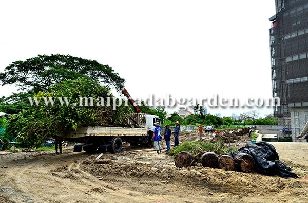 โรงพยาบาลชลประทาน จังหวัดนนทบุรี