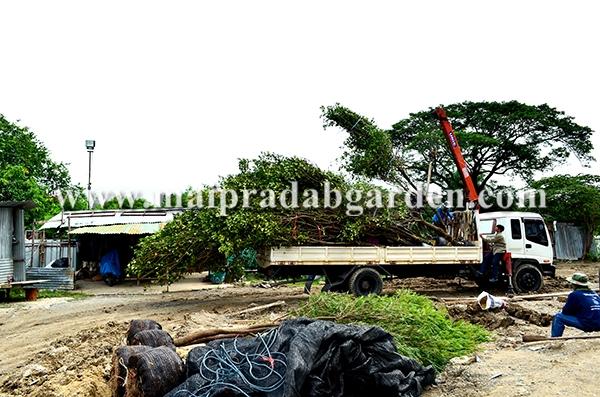 โรงพยาบาลชลประทาน จังหวัดนนทบุรี