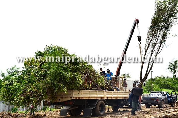 โรงพยาบาลชลประทาน จังหวัดนนทบุรี