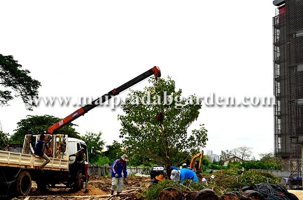 โรงพยาบาลชลประทาน จังหวัดนนทบุรี