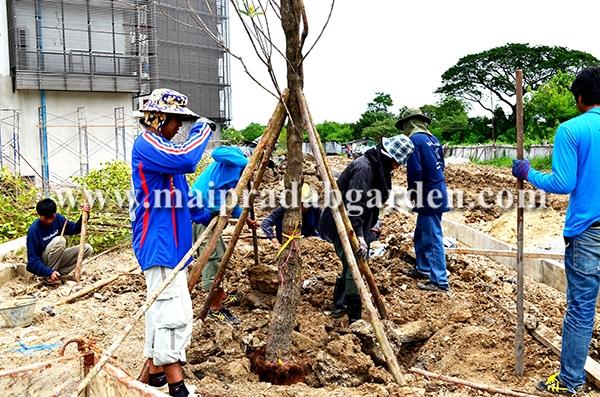 โรงพยาบาลชลประทาน จังหวัดนนทบุรี