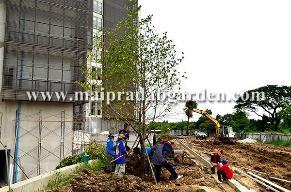 โรงพยาบาลชลประทาน จังหวัดนนทบุรี