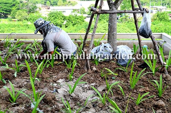 โรงพยาบาลชลประทาน จังหวัดนนทบุรี