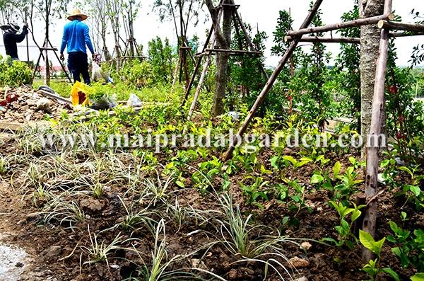 โรงพยาบาลชลประทาน จังหวัดนนทบุรี