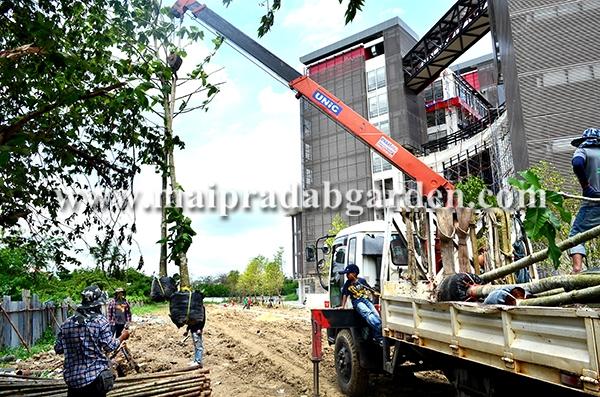 โรงพยาบาลชลประทาน จังหวัดนนทบุรี