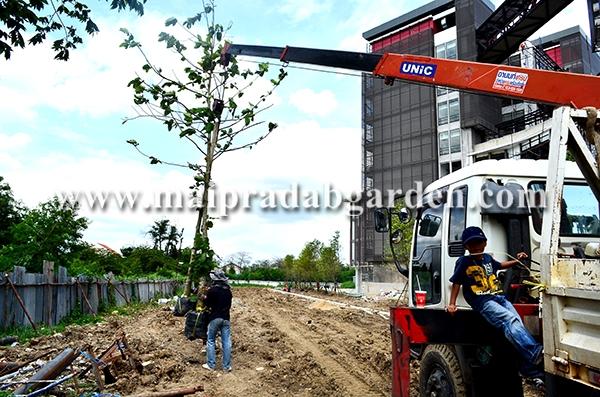 โรงพยาบาลชลประทาน จังหวัดนนทบุรี