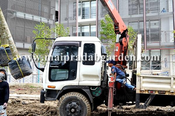 โรงพยาบาลชลประทาน จังหวัดนนทบุรี