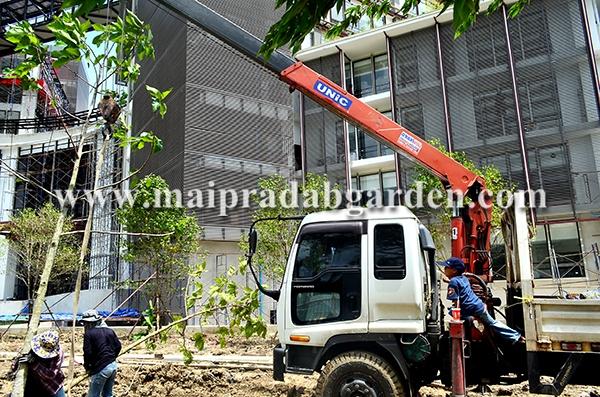 โรงพยาบาลชลประทาน จังหวัดนนทบุรี