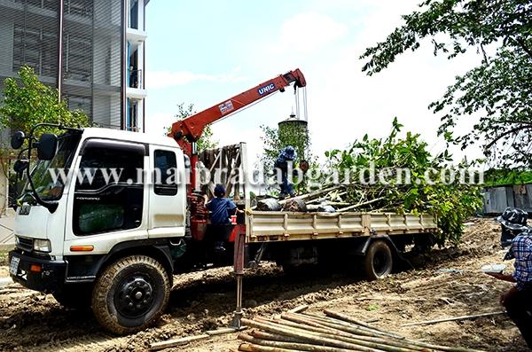 โรงพยาบาลชลประทาน จังหวัดนนทบุรี