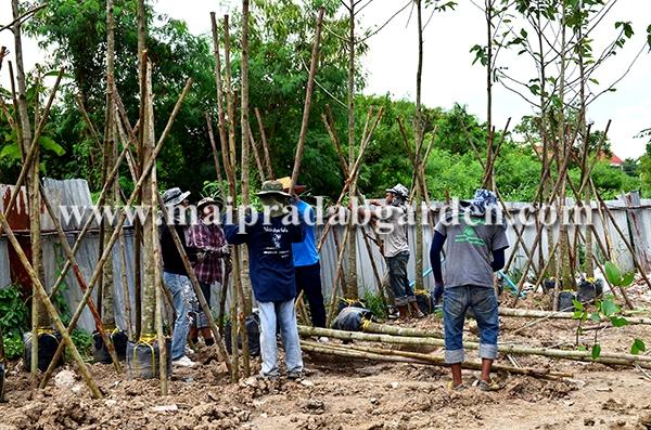 โรงพยาบาลชลประทาน จังหวัดนนทบุรี