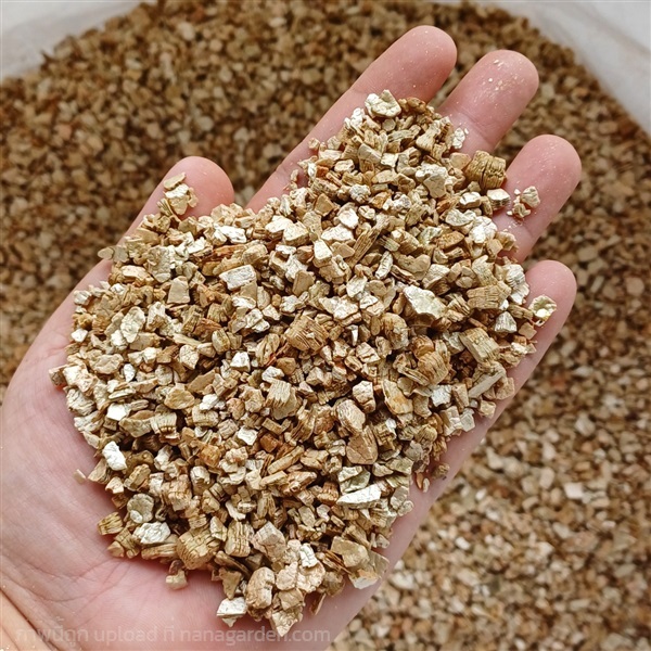 Silver Vermiculite เวอร์มิคูไลท์ สีเงิน | Pk natural shop - หนองแค สระบุรี