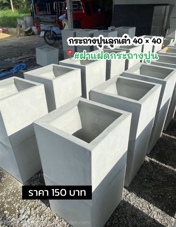 กระถางปูนเปลือย ราคาโรงงาน จากผู้ผลิตโดยตรง | ฝาแฝด กระถางปูน - องครักษ์ นครนายก