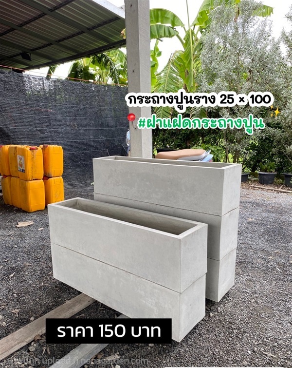 กระถางปูนราง 25 * 100 | ฝาแฝด กระถางปูน - องครักษ์ นครนายก