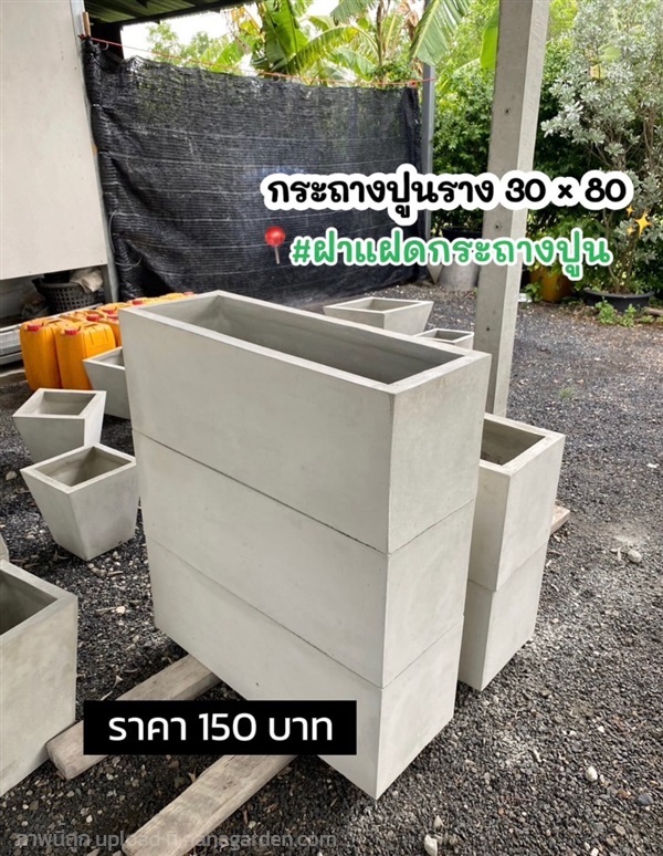 กระถางปูนราง 30 * 80 | ฝาแฝด กระถางปูน - องครักษ์ นครนายก