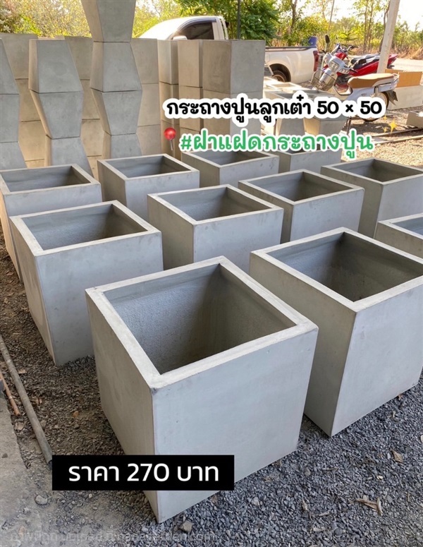 กระถางปูนลูกเต๋า 50 * 50  | ฝาแฝด กระถางปูน - องครักษ์ นครนายก