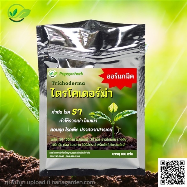 เชื้อราไตรโคเดอร์มา 100g. กำจัดโรคพืช ออแกนิก | POPAYA_official - คลองหลวง ปทุมธานี