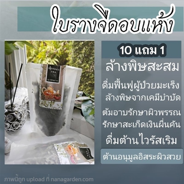 ชาใบรางจืดอบแห้ง | ลิตเติ้ลพาร์ค Little Park - บางกรวย นนทบุรี