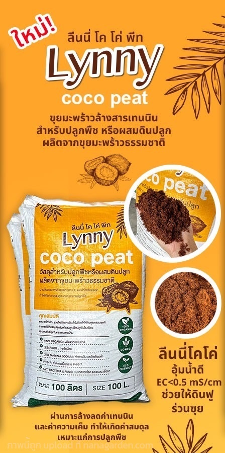 ลีนนี่ โค โค่ พีท ขุยมะพร้าวล้าง Lynny coco peat | บริษัท จอมทอง ฟาร์ม ชอป จำกัด - บางใหญ่ นนทบุรี