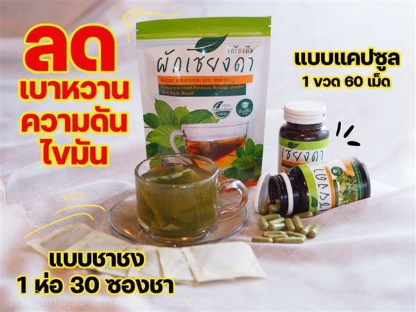 ผักเชียงดา ชนิดผง แคปซูล รักษ์เฮิร์บ rak Herb  | Shopping by lewat - เมืองมหาสารคาม มหาสารคาม