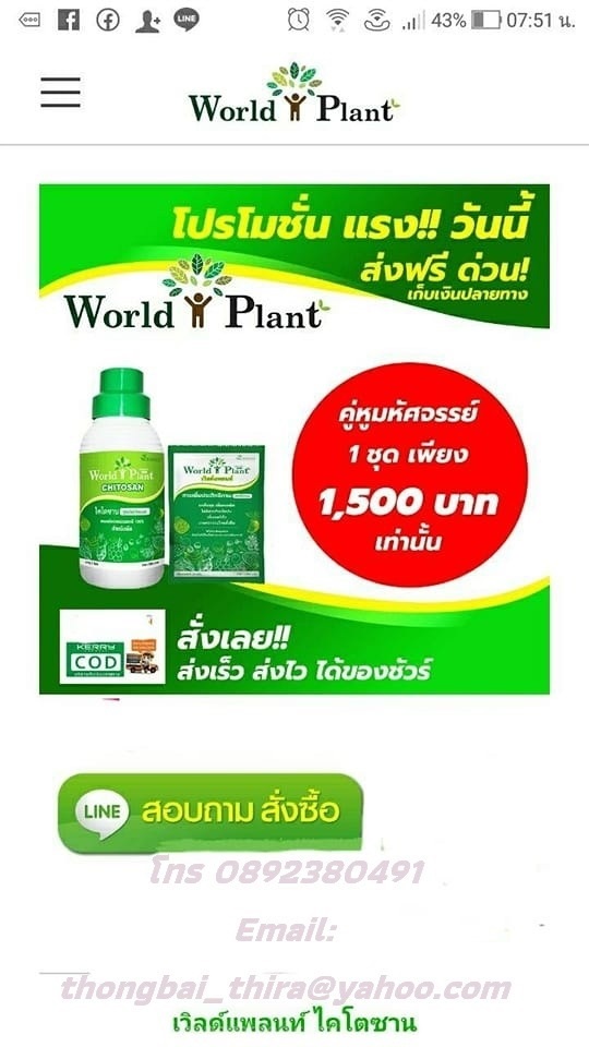 เวิลด์แพล้นท์ไครโตรซานคู่หูมหัศจรรย์ | Macuna Capsule Product of Thailand - ปากเกร็ด นนทบุรี