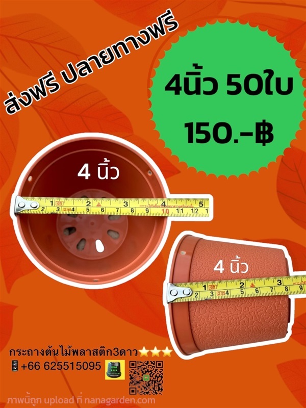 กระถางต้นไม้ 4 นิ้ว สีอิฐ 50ใบ | 3ดาว กระถางพลาสติก ราคาโรงงาน - เมืองปทุมธานี ปทุมธานี