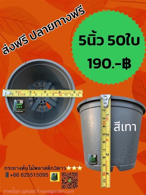 กระถางต้นไม้พลาสติก 5นิ้ว สีเทา 50ใบ | 3ดาว กระถางพลาสติก ราคาโรงงาน - เมืองปทุมธานี ปทุมธานี