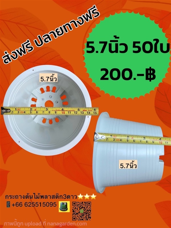 กระถางต้นไม้พลาสติก 5.7 นิ้ว สีขาว 50 ใบ | 3ดาว กระถางพลาสติก ราคาโรงงาน - เมืองปทุมธานี ปทุมธานี