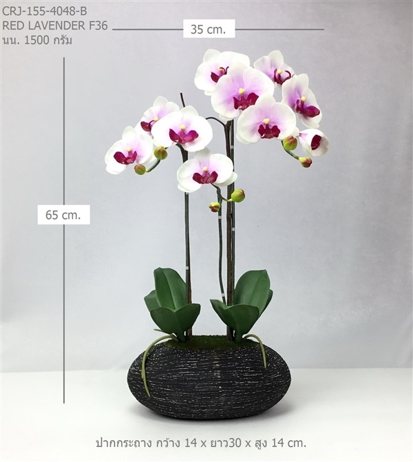 กระถางกล้วยไม้ประดิษฐ์ CRJ-155-4048-B F36